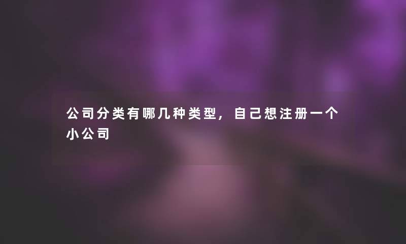 公司分类有哪几种类型,自己想注册一个小公司