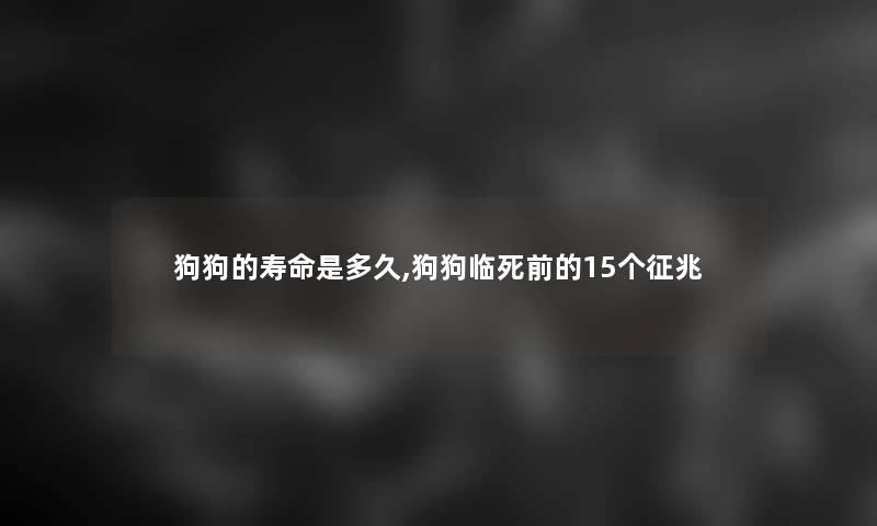 狗狗的寿命是多久,狗狗临死前的15个征兆