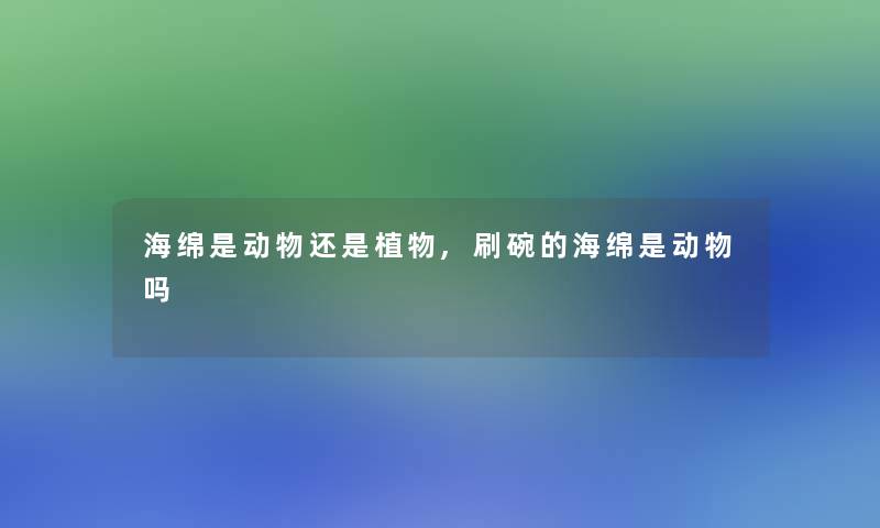 海绵是动物还是植物,刷碗的海绵是动物吗