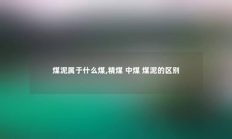 煤泥属于什么煤,精煤 中煤 煤泥的区别