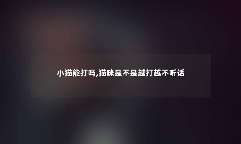 小猫能打吗,猫咪是不是越打越不听话