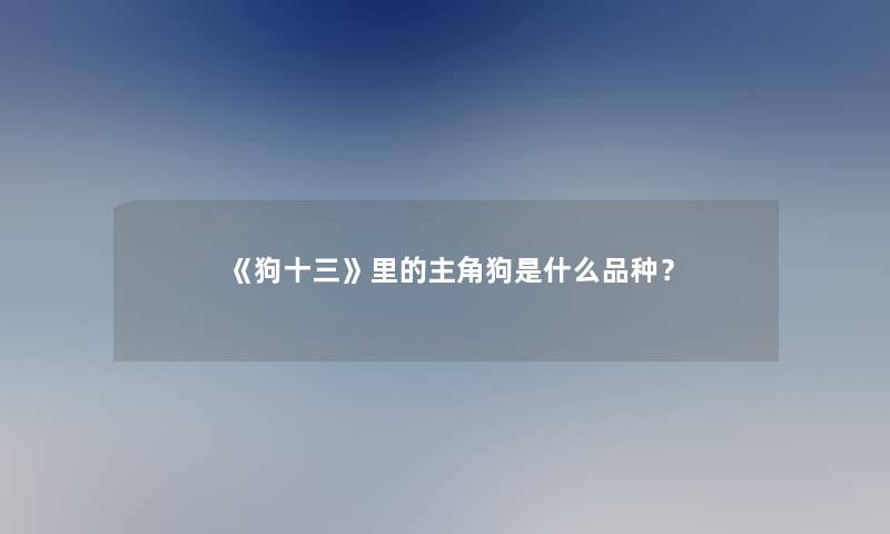 《狗十三》里的主角狗是什么品种？