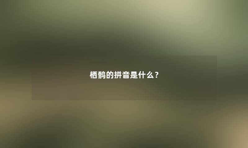 栖鹘的拼音是什么？