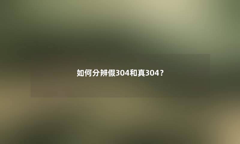 如何分辨假304和真304？