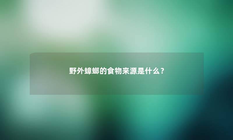 野外蟑螂的食物来源是什么？