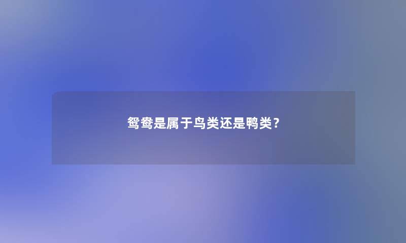 鸳鸯是属于鸟类还是鸭类？