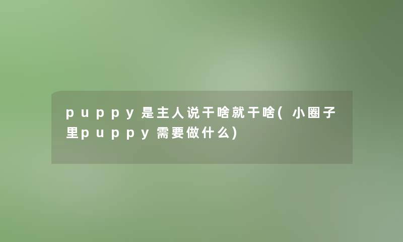 puppy是主人说干啥就干啥(小圈子里puppy需要做什么)