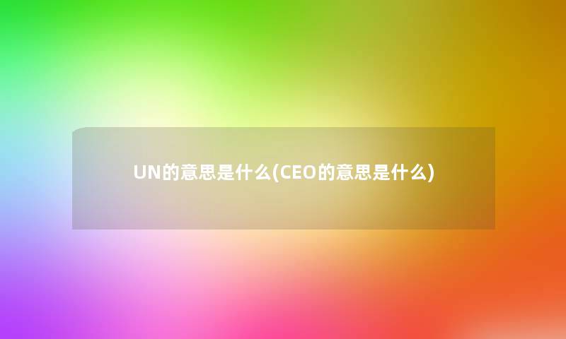 UN的意思是什么(CEO的意思是什么)