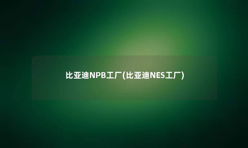 比亚迪NPB工厂(比亚迪NES工厂)