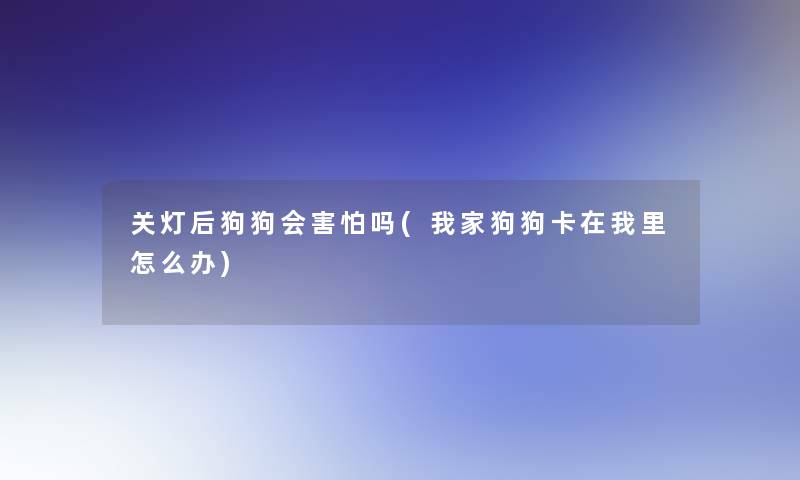 关灯后狗狗会害怕吗(我家狗狗卡在我里怎么办)