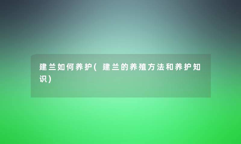 建兰如何养护(建兰的养殖方法和养护知识)