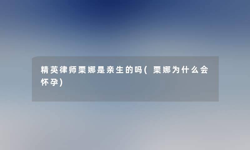 精英律师栗娜是亲生的吗(栗娜为什么会怀孕)