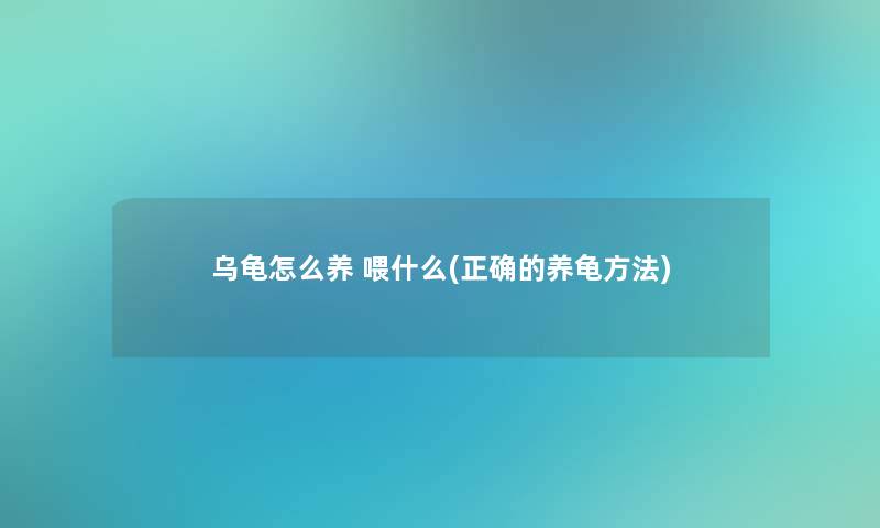 乌龟怎么养 喂什么(正确的养龟方法)