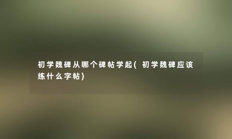 初学魏碑从哪个碑帖学起(初学魏碑应该练什么字帖)