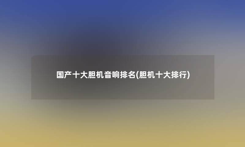 国产一些胆机音响推荐(胆机一些整理)