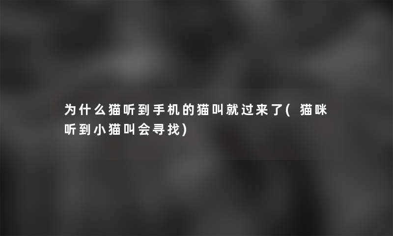 为什么猫听到手机的猫叫就过来了(猫咪听到小猫叫会寻找)