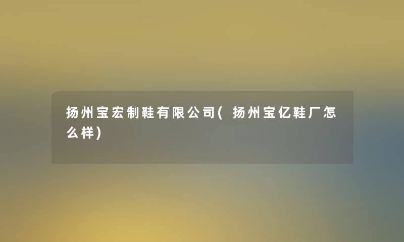 扬州宝宏制鞋有限公司(扬州宝亿鞋厂怎么样)