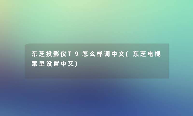 东芝投影仪T9怎么样调中文(东芝电视菜单设置中文)