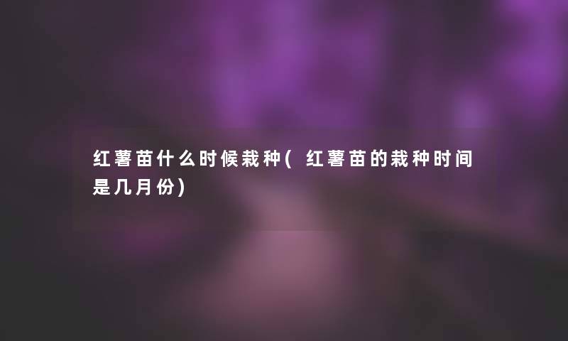 红薯苗什么时候栽种(红薯苗的栽种时间是几月份)