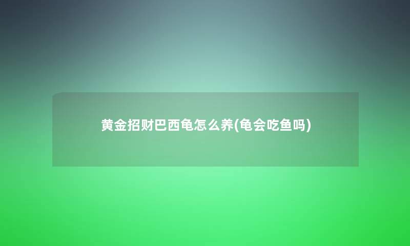 黄金招财巴西龟怎么养(龟会吃鱼吗)