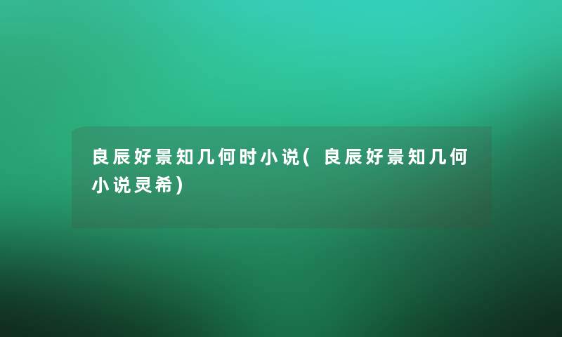 良辰好景知几何时小说(良辰好景知几何小说灵希)