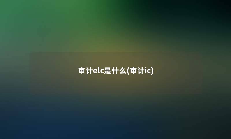 审计elc是什么(审计ic)