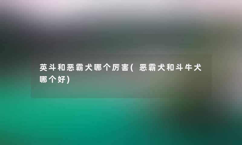 英斗和恶霸犬哪个厉害(恶霸犬和斗牛犬哪个好)