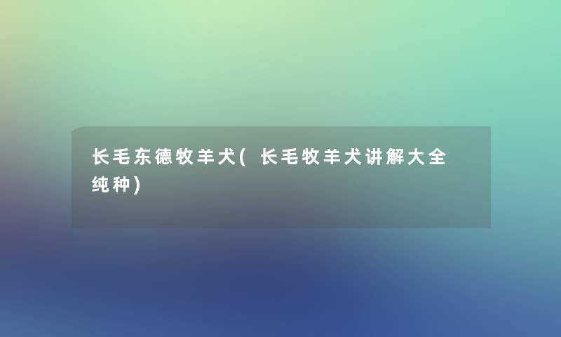 长毛东德牧羊犬(长毛牧羊犬讲解大全 纯种)