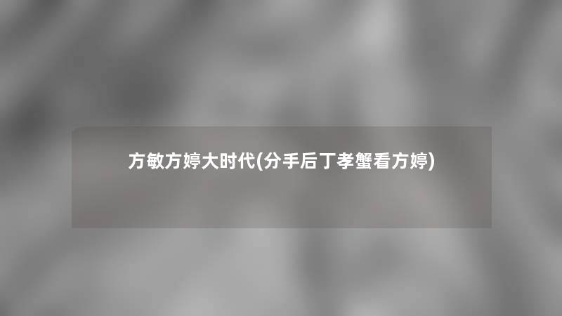 方敏方婷大时代(分手后丁孝蟹看方婷)