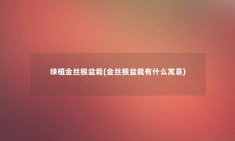 绿植金丝猴盆栽(金丝猴盆栽有什么寓意)