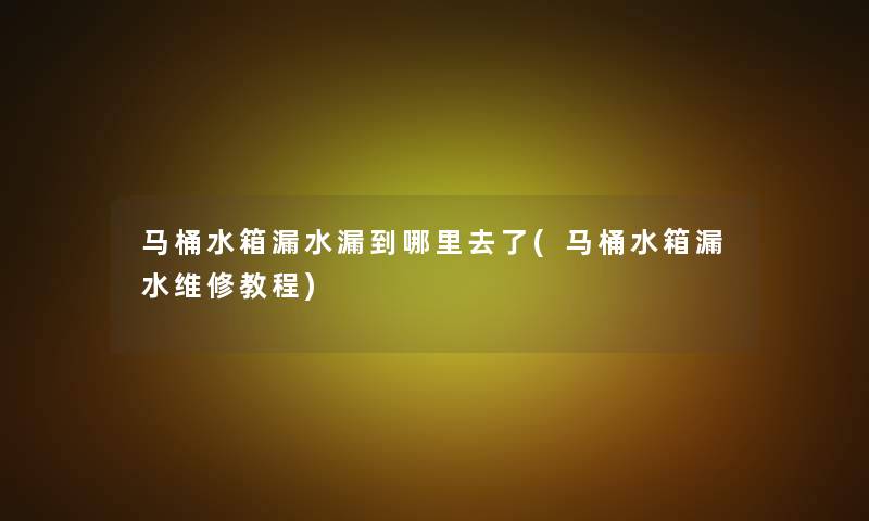 马桶水箱漏水漏到哪里去了(马桶水箱漏水维修教程)