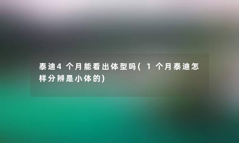 泰迪4个月能看出体型吗(1个月泰迪怎样分辨是小体的)