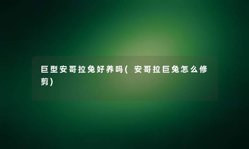 巨型安哥拉兔好养吗(安哥拉巨兔怎么修剪)