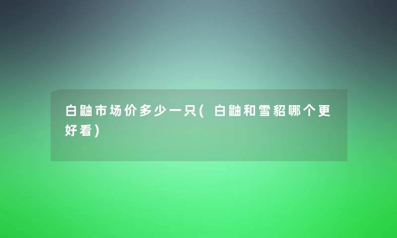 白鼬市场价多少一只(白鼬和雪貂哪个更好看)