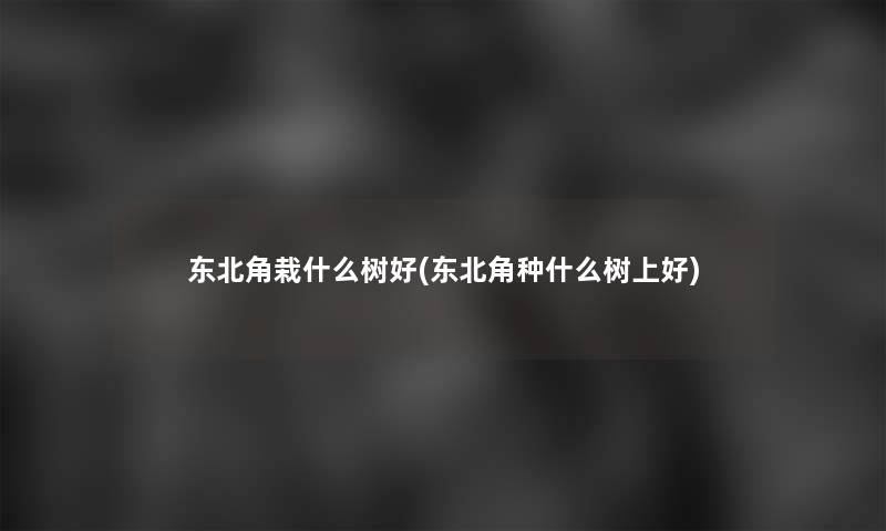 东北角栽什么树好(东北角种什么树上好)