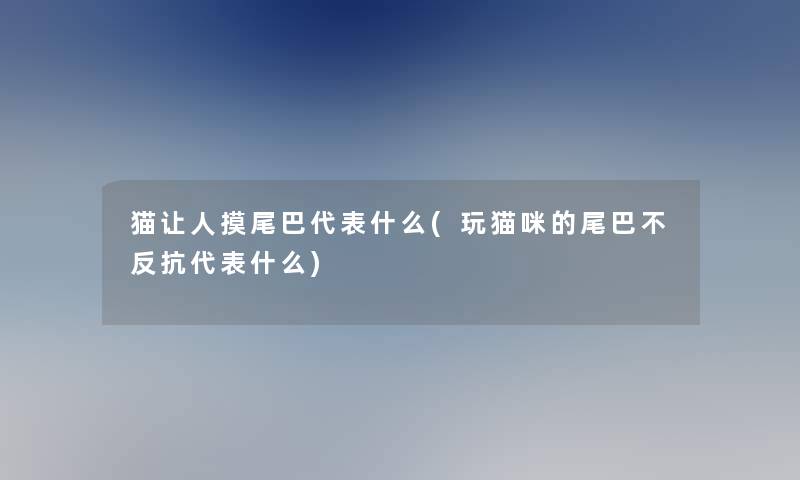 猫让人摸尾巴代表什么(玩猫咪的尾巴不反抗代表什么)