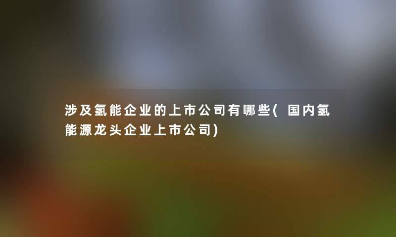 涉及氢能企业的上市公司有哪些(国内氢能源龙头企业上市公司)