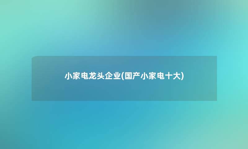 小家电龙头企业(国产小家电一些)