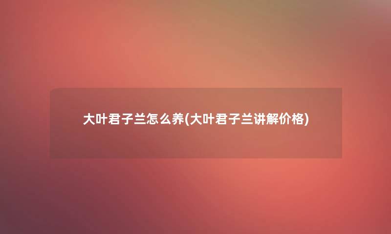 大叶君子兰怎么养(大叶君子兰讲解价格)