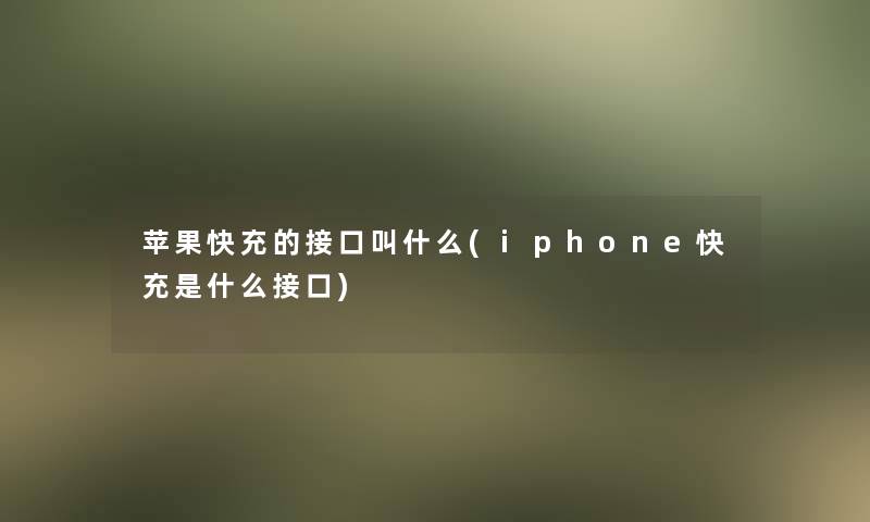 苹果快充的接口叫什么(iphone快充是什么接口)