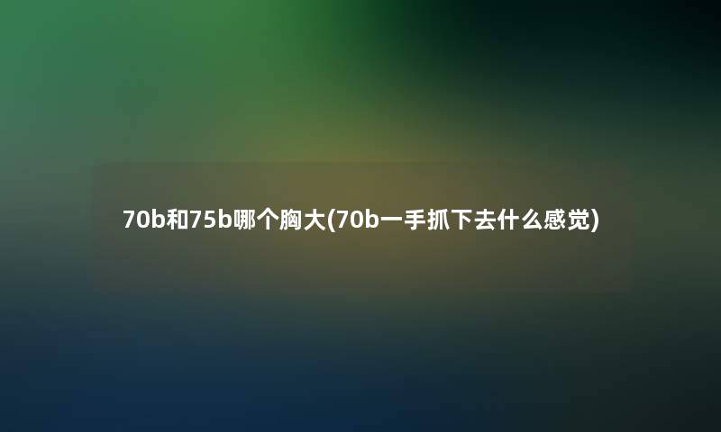 70b和75b哪个胸大(70b一手抓下去什么感觉)