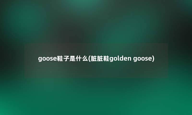 goose鞋子是什么(脏脏鞋golden goose)