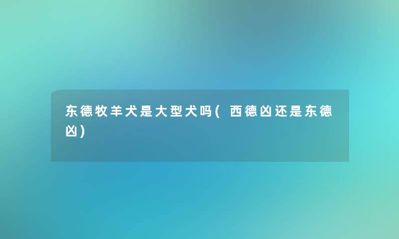 东德牧羊犬是大型犬吗(西德凶还是东德凶)