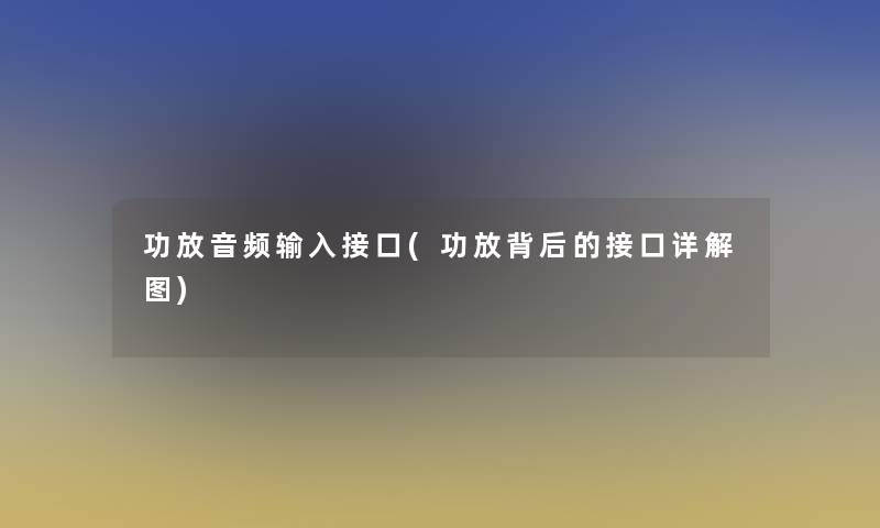 功放音频输入接口(功放背后的接口详解图)