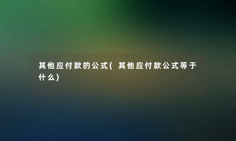 其他应付款的公式(其他应付款公式等于什么)