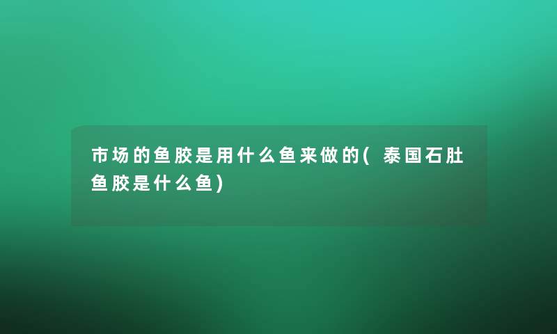 市场的鱼胶是用什么鱼来做的(泰国石肚鱼胶是什么鱼)