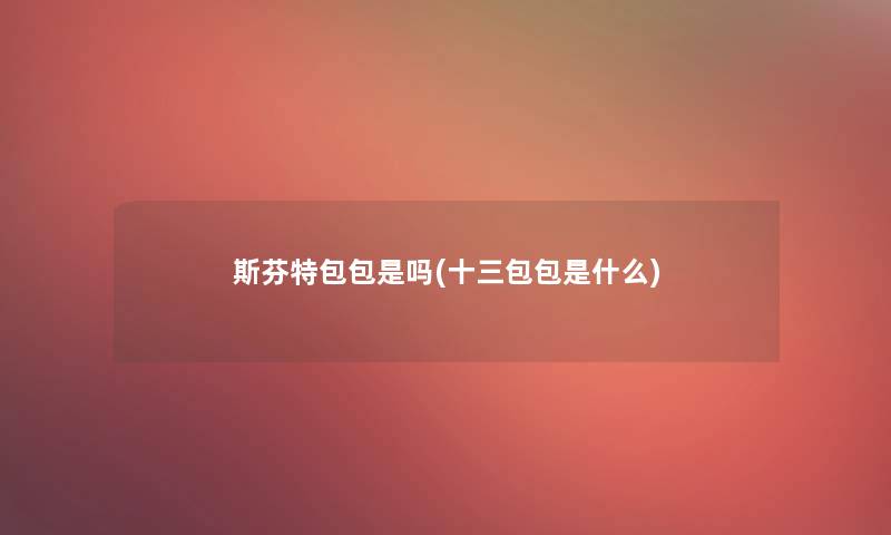 斯芬特包包是吗(十三包包是什么)